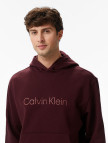 Calvin Klein Standard Logo Terry Erkek Kırmızı Sweatshirt Calvin Klein Standard Logo Terry Erkek Kırmızı Sweatshirt